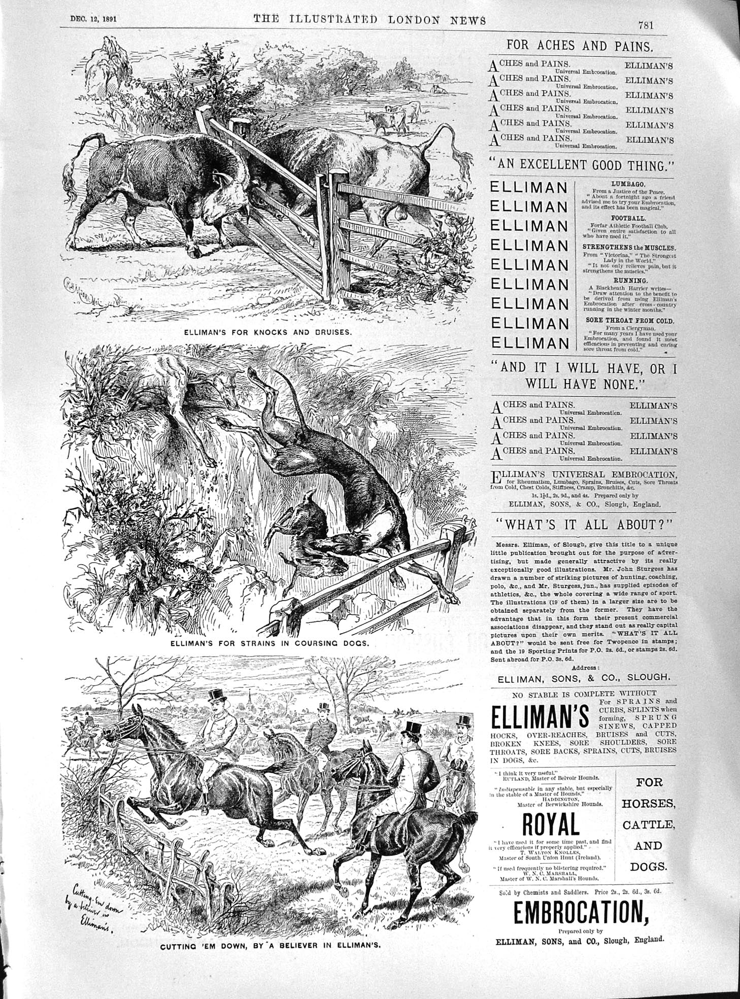 Old 1891 Elliman Slough England Aches Pains Embrocation Horses Bulls Victorian