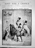 Antique Old Print 1892 Elliman Embrocation Slough England Dogs Fannie Moody