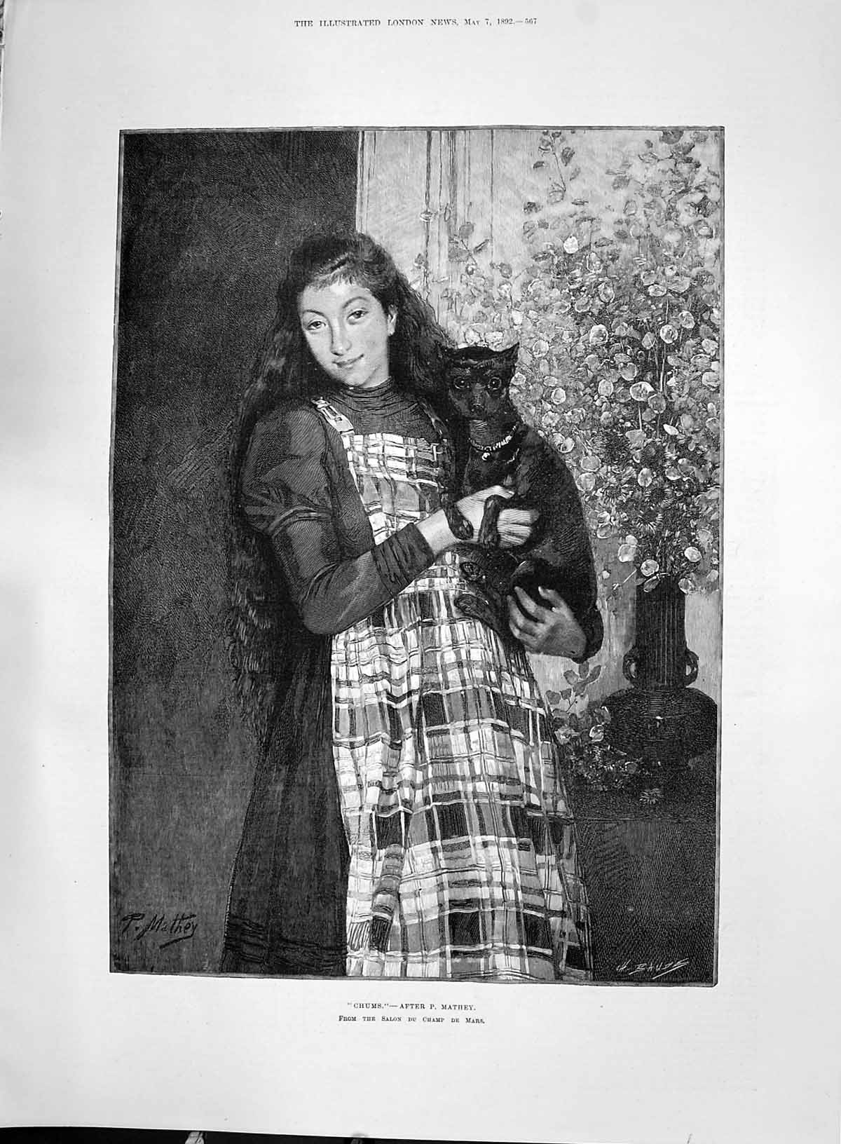 Original Old Antique Print 1892 Chums Beautiful Woman Long Hair Pet Cat Mathey