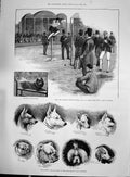 Old 1892 Civil Service Sport Bell High Jump Kennel Dog Show Islington Victorian