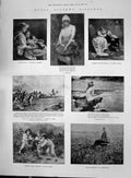 Old 1892 Royal Academy Art Walker Birkenruth Moscow Pott Star Scarecr Victorian