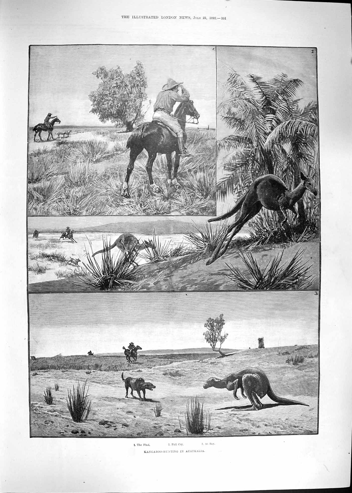 Original Old Antique Print 1892 Kangaroo Hunting Australia Bruce Ricks Cooper