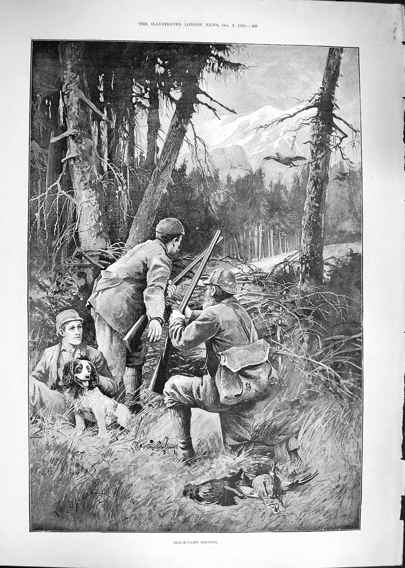 Old Antique Print 1892 Black Game Driving Hunting Shooting Birds Gun Dogs 19th