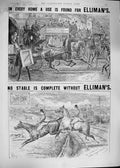 Old Antique Print 1892 Advertisement Elliman'S Embrocation Horse Jumping 19th