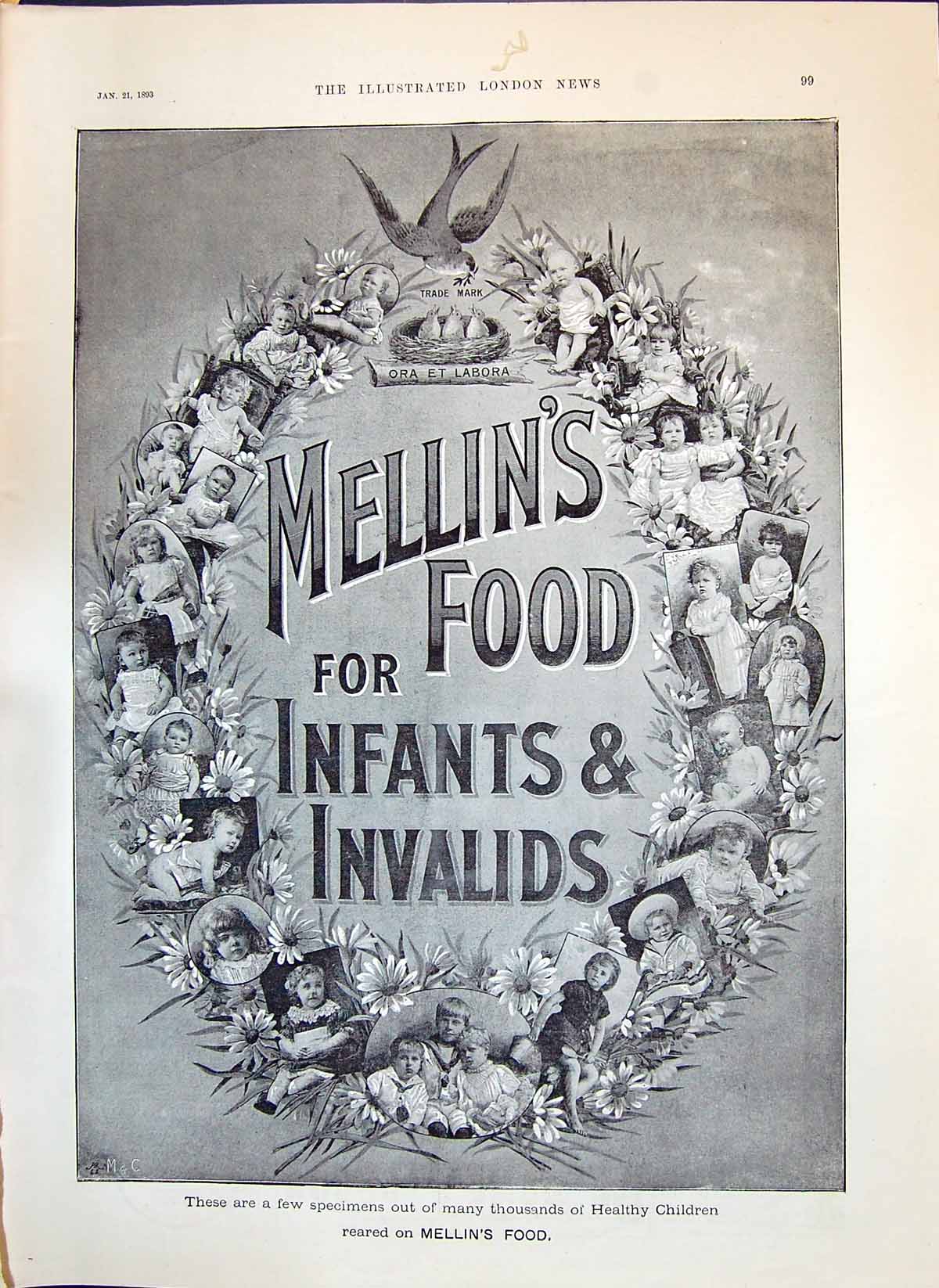 Original Old Antique Print 1893 Advertisement Mellin'S Food Infants Invalids