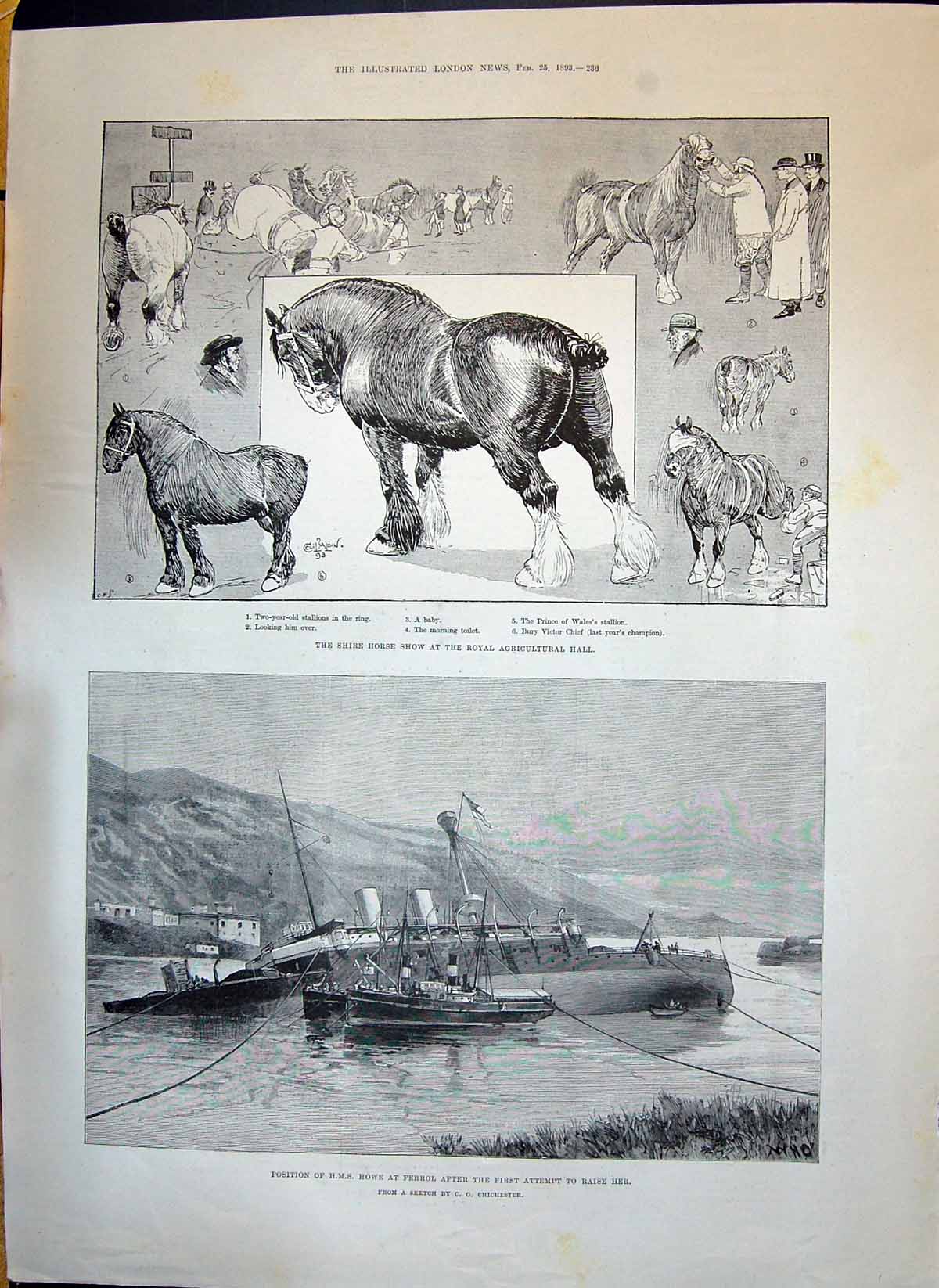 Old Print 1893 Shire Horse Show Agricultural Hall Ship H.M.S. Howe Ferrol 19th