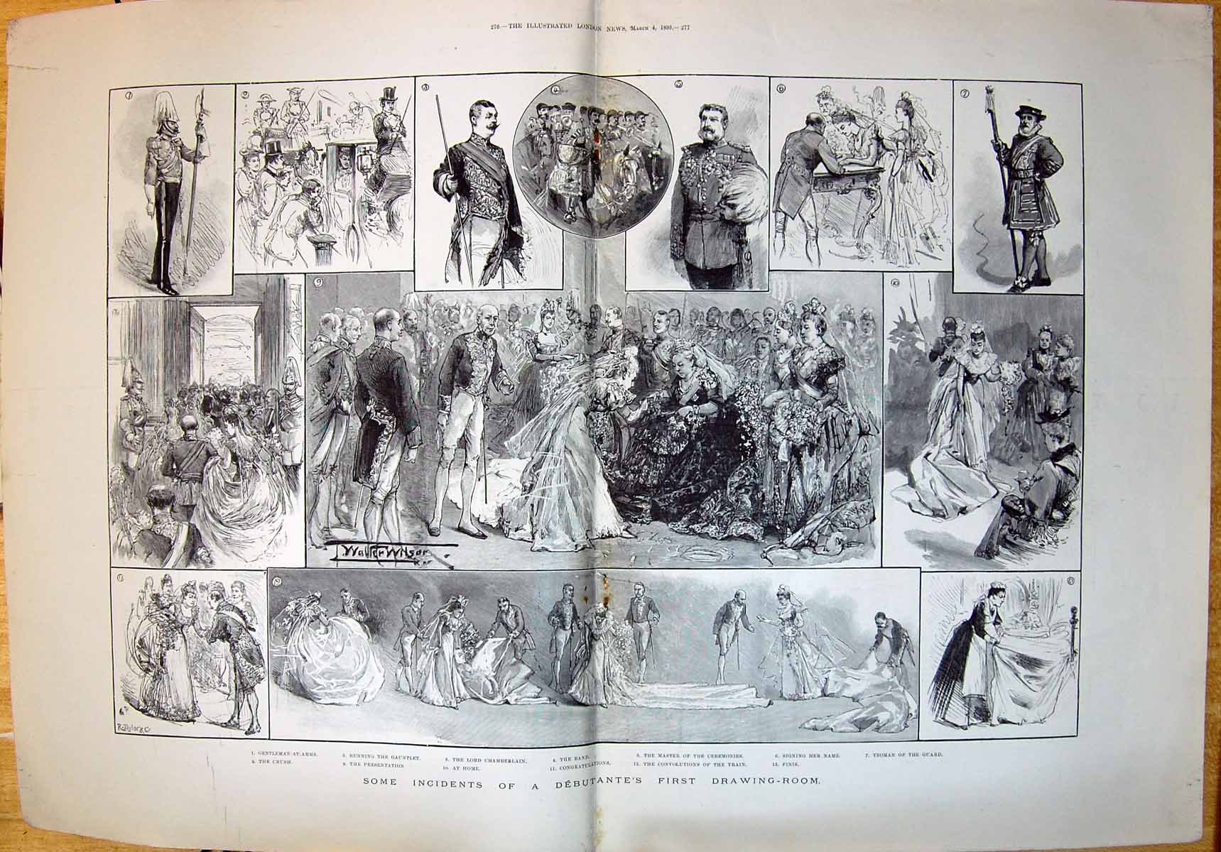 Old 1893 Debutante First Drawing Room Lord Chamberlain Gentleman-At-A 19th