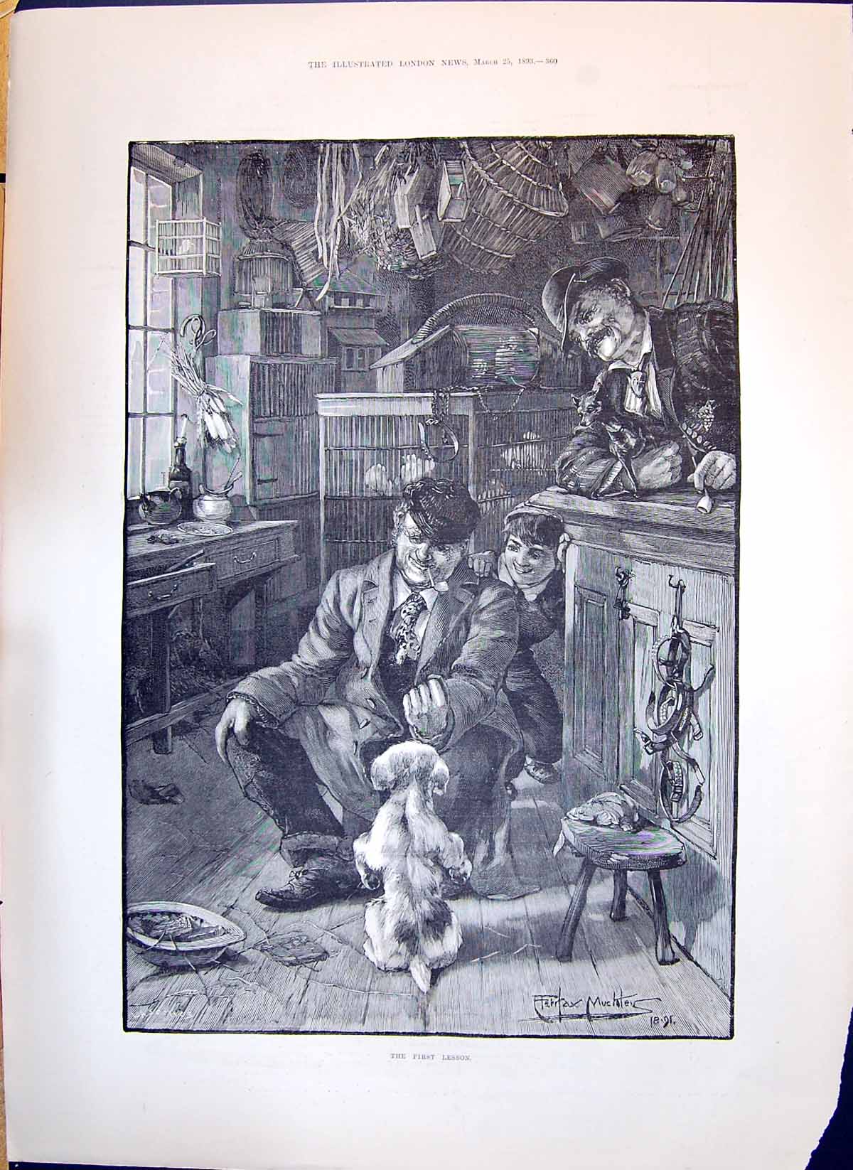 Original Old Antique Print 1893 First Lesson Puppy Dog Bird Cages P Victorian