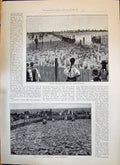 Old 1893 Jack-Rabbits Hunting Coraal Frenso California Shakspere Thea Victorian