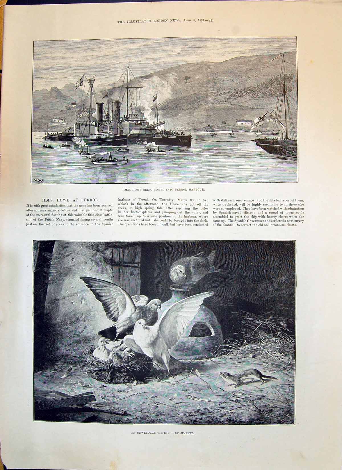 Old 1893 H.M.S. Howe Ship Ferrol Harbour Unwelcome Visitor Birds Nest Victorian