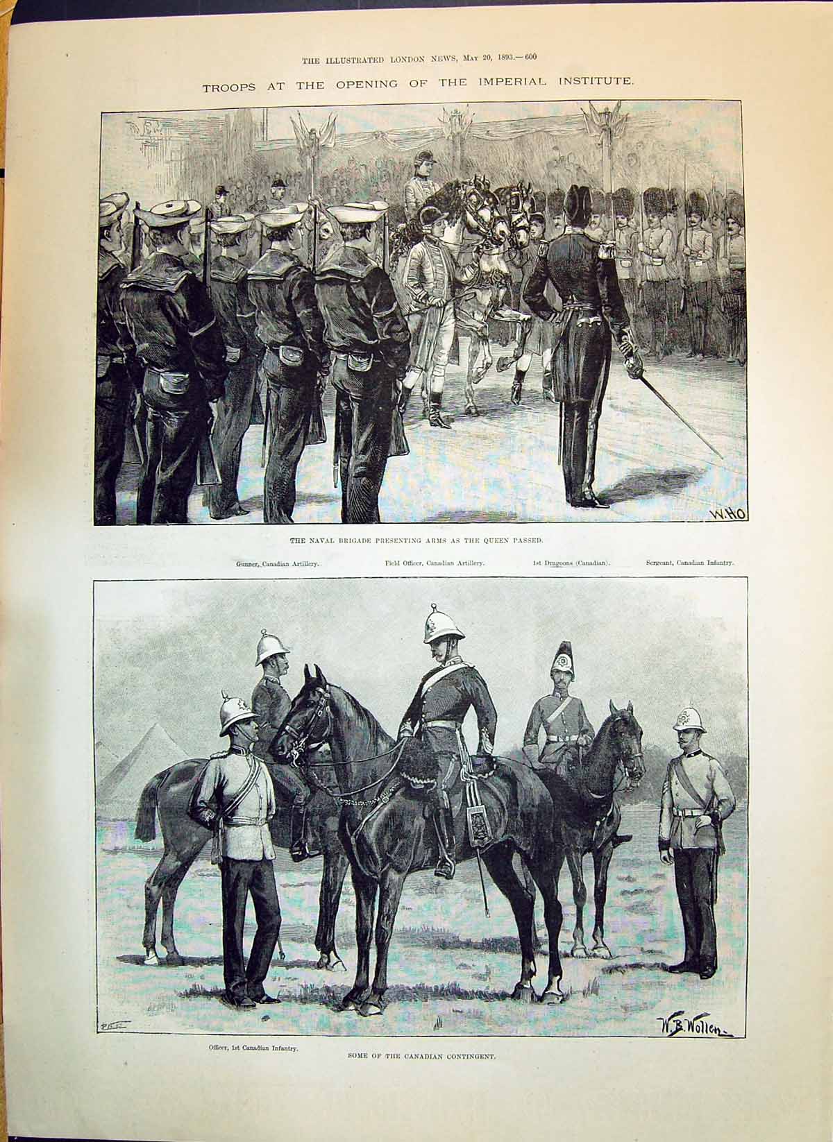 Old Print 1893 Imperial Institute Naval Brigade Canada Siers Dragoons Gu 19th