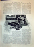 Old 1893 Countess Hayling Lying Floor Derby Horse Racing Sport Jockey Victorian