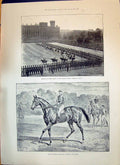 Old 1893 Horse Guards Parade Mccalmont Isinglass Horse Derby Bishop P Victorian