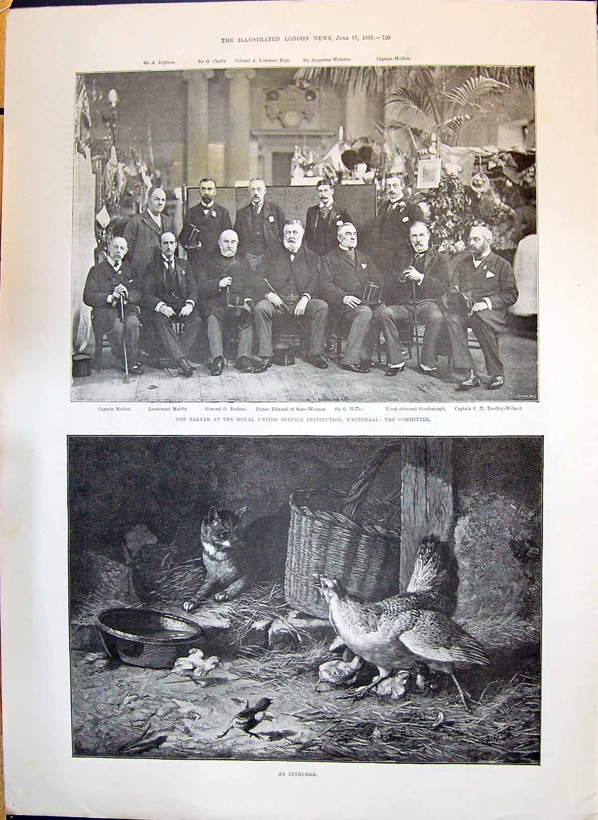 Old 1893 Bazaar Whitehall Malton Maltby Erskine Goodenough Birds Cat Victorian