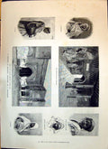 Old 1893 Morocco Shepherd Slave Negro Slave Kasbah Mequinez Church Ox Victorian