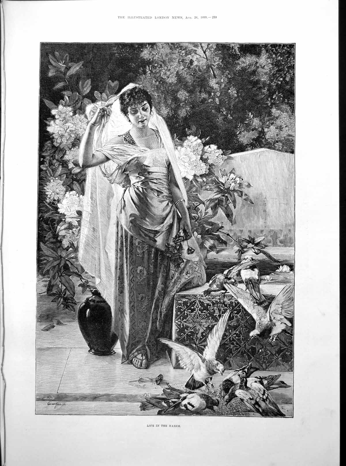 Old Life Harem Lady Pigeons Lord A Campbell Kate Macdonald Harp 1893Victorian