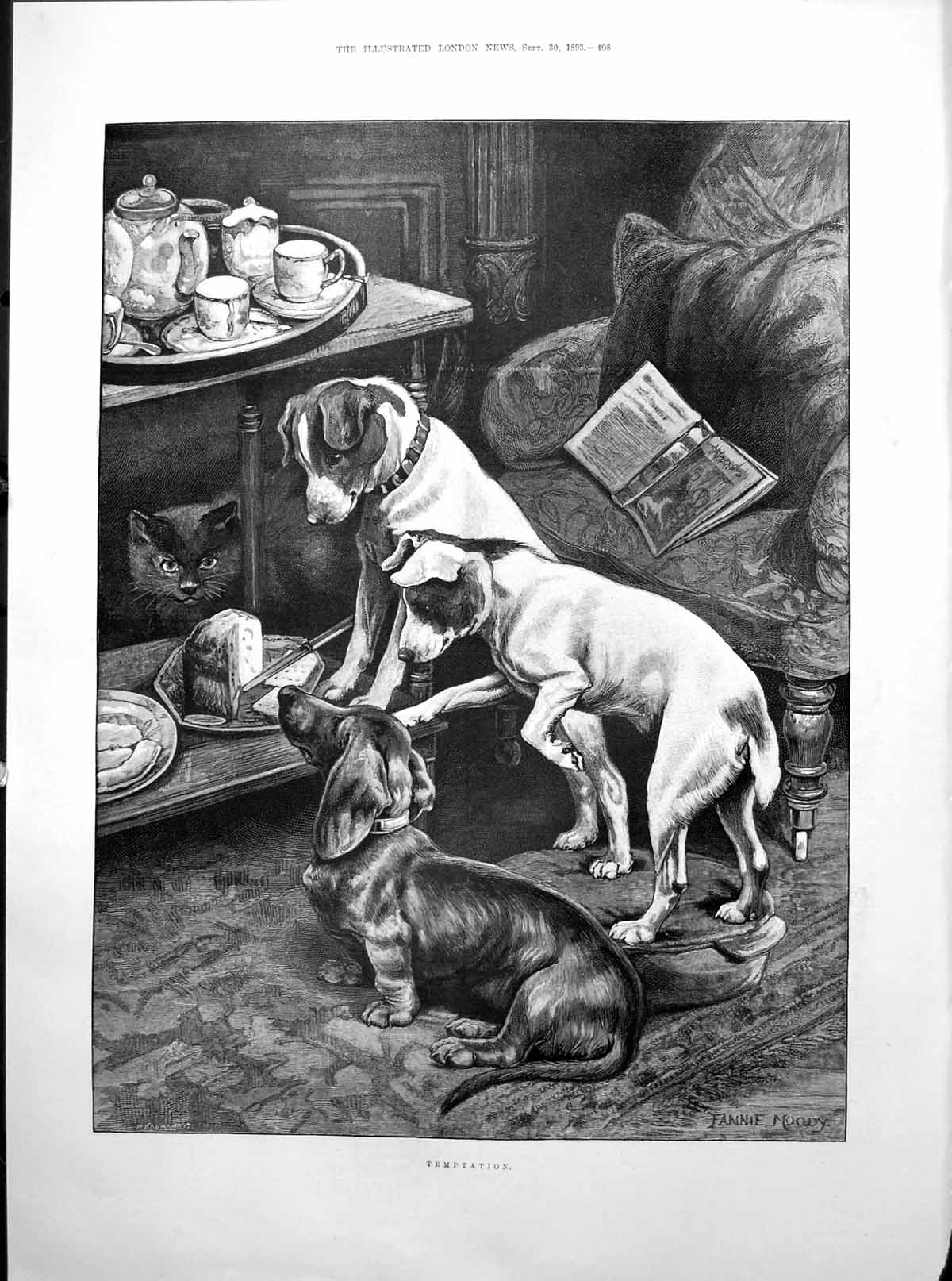 Old Temptation Dogs Cat Cake Prince Arthur Duke Connaught Age1893
