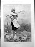 Old Antique Print Michaelmas Geese Goose Girl Windsor Neighbourhood 1893 19th