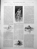 Antique Print Matabele Warrior South Africa Lady Sorceror Fort Smith 1893 19th