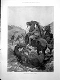 Old Print Skirmish South Africa Horses C Sainton La Cigale Evening 1893 19th