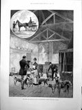 Antique Old Print Prince Wales Sandringham Dogs Kitchen Cenotaph Magee 1893