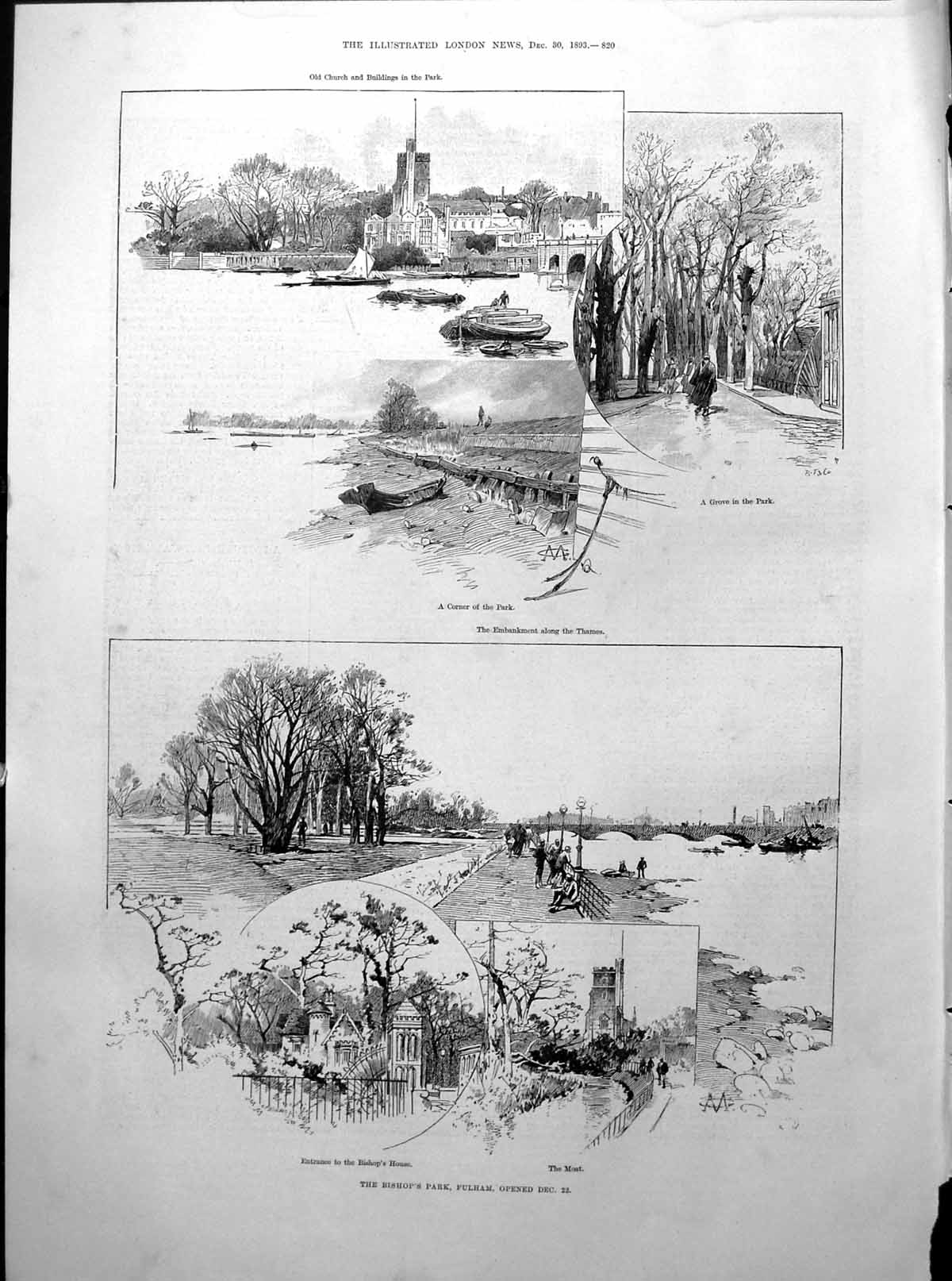 Old Bishop'S Park Fulham Opened Trees Boats E Stanhope Portrait 1893Victorian
