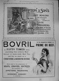 Original Old Antique Print 1894 Advertisement Hampton Sons Art Bovril Ox Beef