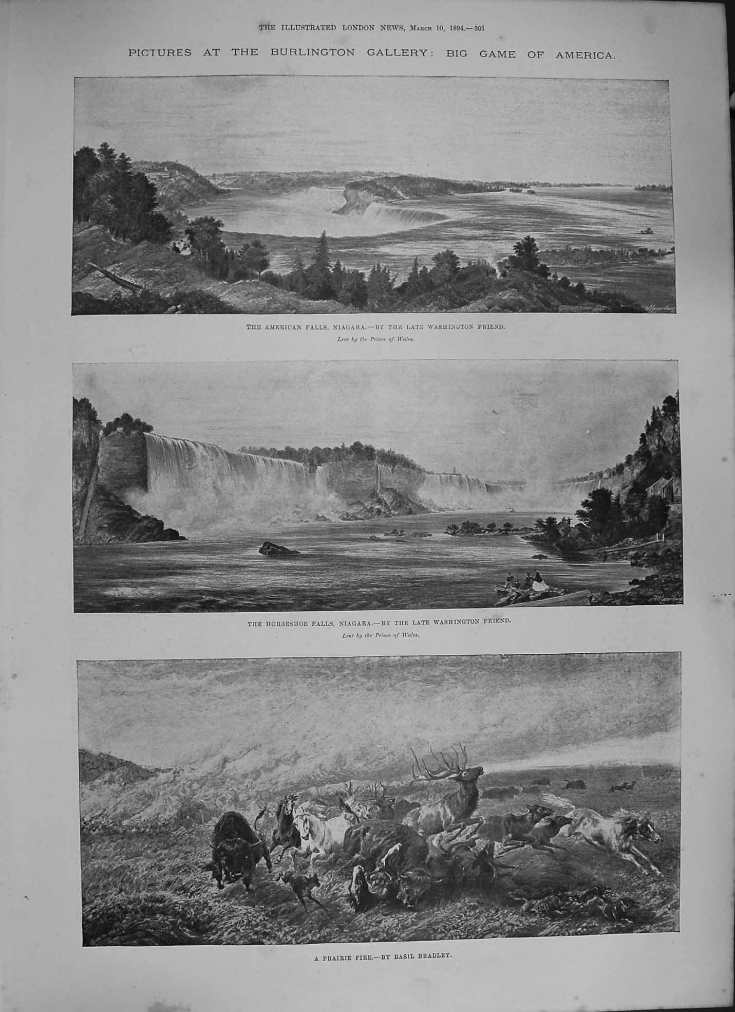 Original Old Antique Print 1894 America Falls Niagara Horseshoe Prairie Fire