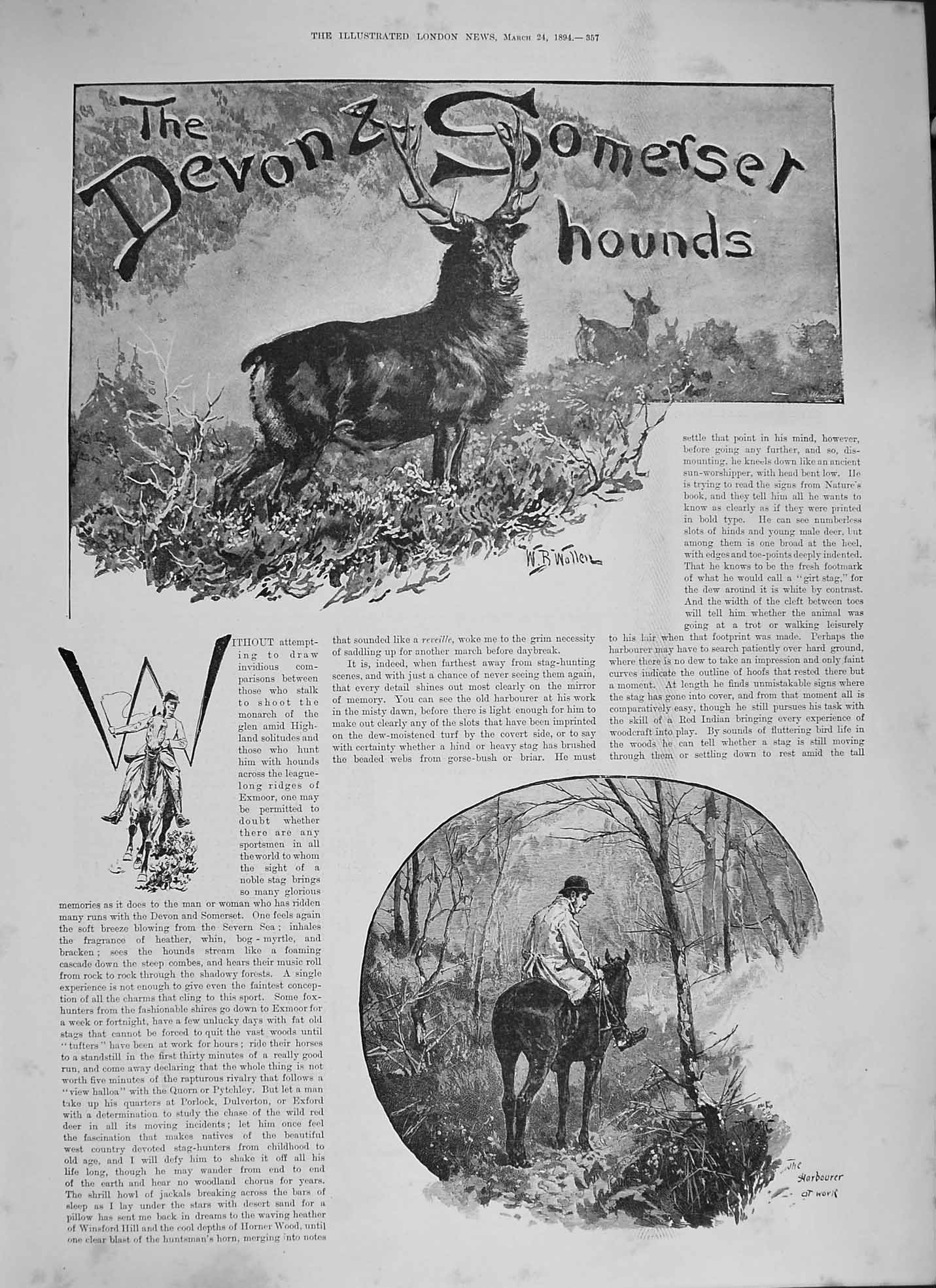 Original Old Antique Print 1894 Devon Somerset Hounds Hunting Horse Sta 19th