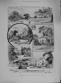 Original Old Antique Print 1894 White Lodge Richmond Wimbledon Common May 19th