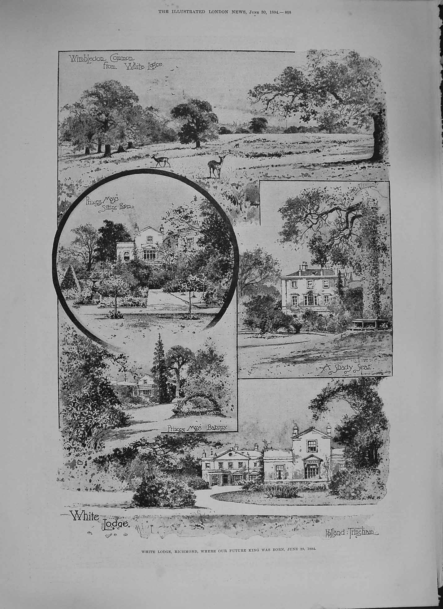 Original Old Antique Print 1894 White Lodge Richmond Wimbledon Common May 19th