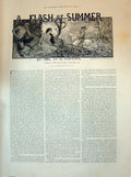 Old 1894 Flash Summer Lady Prisoner Man Horse Family Dinner Table Kat Victorian