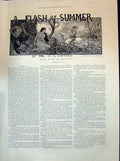 Old 1894 Flash Summer Clifford Lady Prisoner Forest Romance Belcher D Victorian