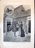 Old 1894 Princess Wales Horse Alexandra Stud Farm Sandringham Green R Victorian