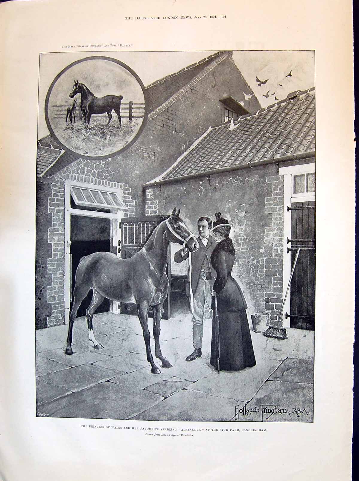 Old 1894 Princess Wales Horse Alexandra Stud Farm Sandringham Green R Victorian