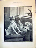 Old 1894 Dogs Cat Window Just Time Fanny Moody Statue Thomas Sydenham Victorian