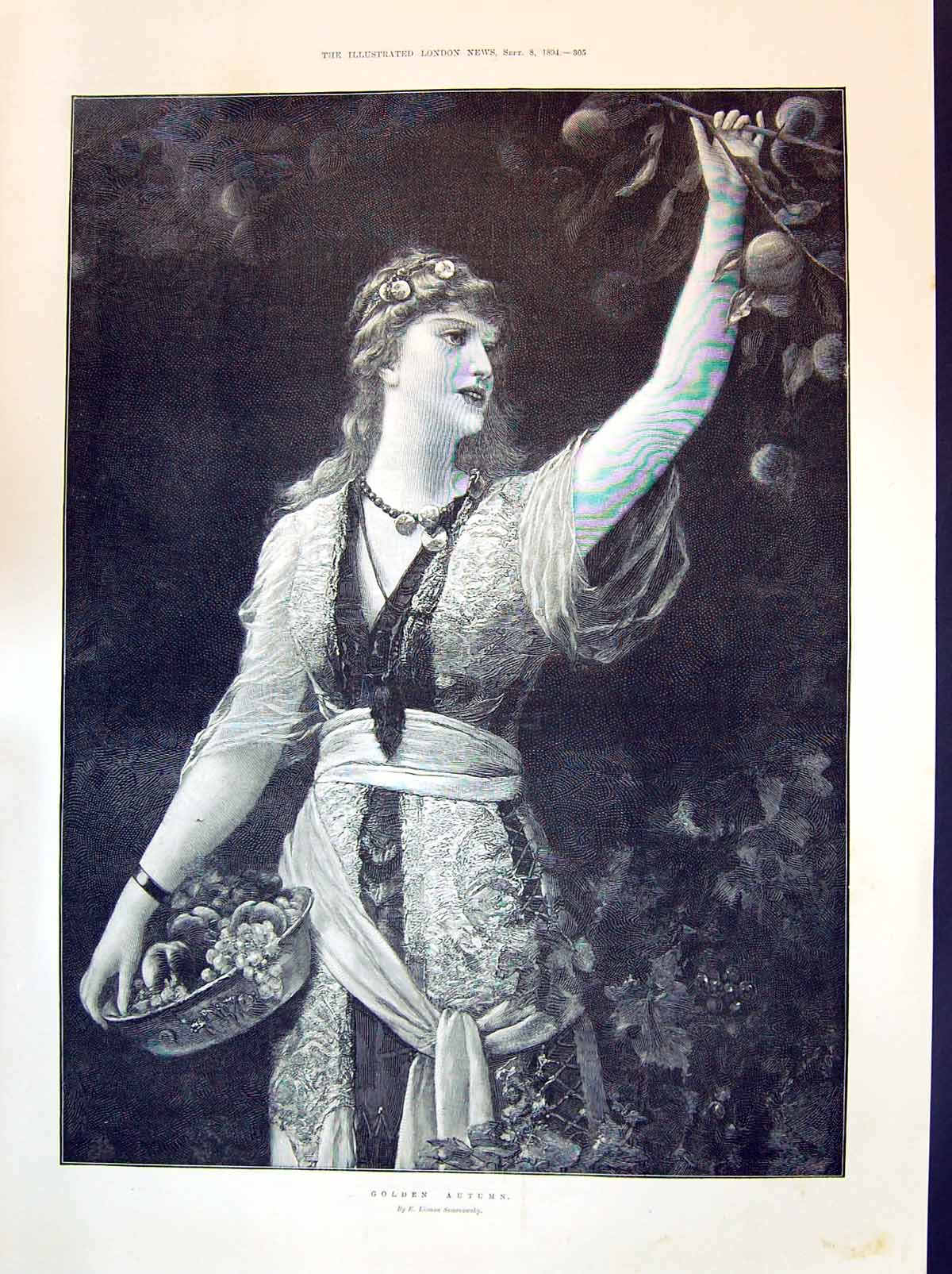 Old Print 1894 Gen Autumn Beautiful Woman Picking Fruit Braemar Mountain 19th