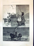 Old 1894 Sea Fishing Brittant Coast France Boat Grey Mullet Conger Fi Victorian