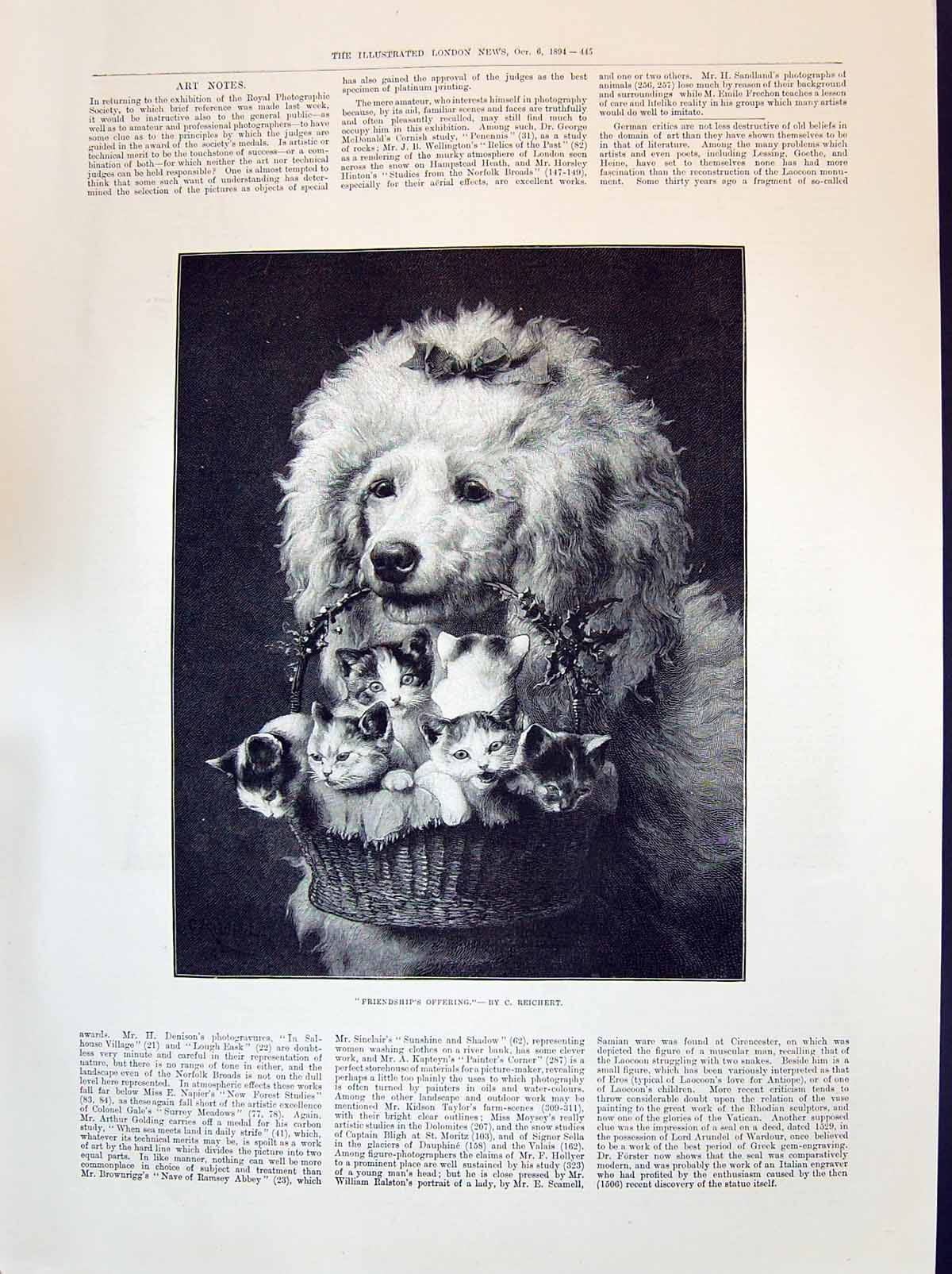 Antique Old Print 1894 Beautiful Puppy Dog Carrying Basket Kittens Reichert