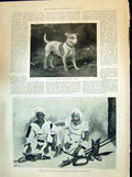Old 1894 Henry Hawkins Dog Jack Father Rossignoli Guide Soudan Lord G Victorian