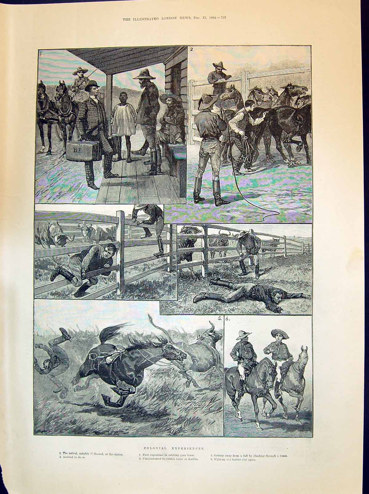 Old 1894 Colonial Experiences Horses Maunsell Richardson Chapman Alex Victorian