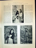 Old 1894 Haynes-Williams Art Young Girl Cat Bird Cage Flowers Hay Agr Victorian