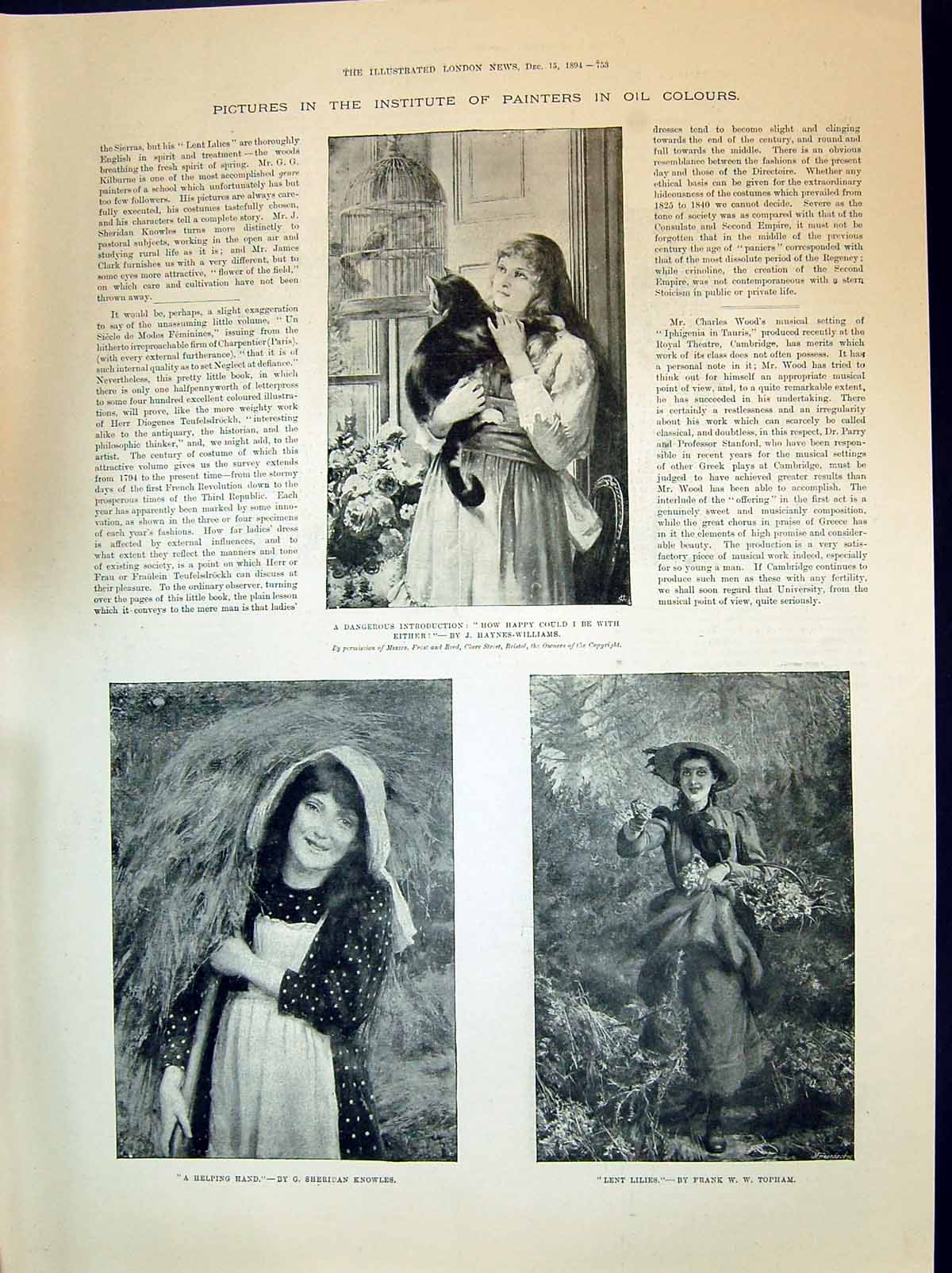 Old 1894 Haynes-Williams Art Young Girl Cat Bird Cage Flowers Hay Agr Victorian