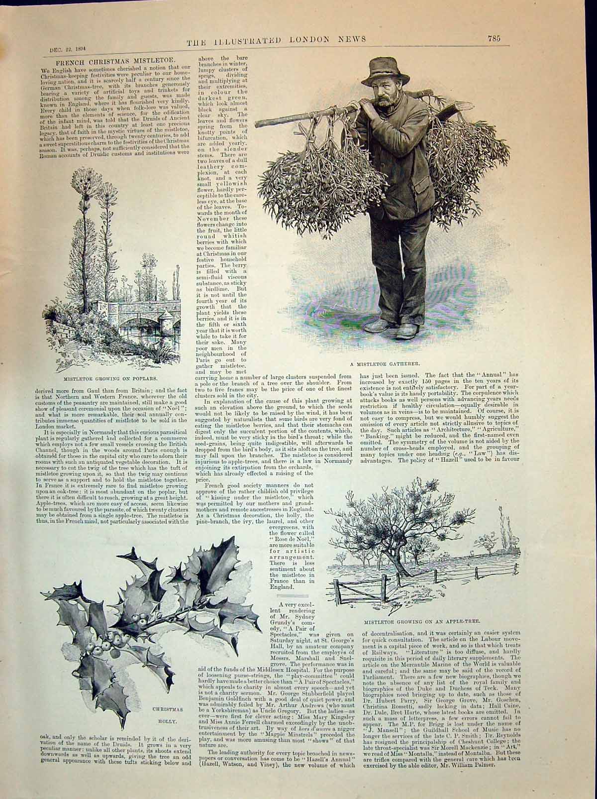 Old 1894 Mistletoe Gatherer France Apple Poplars Trees Holly Ladies W Victorian