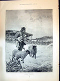 Old 1894 Shepherd Christmas Lambs Sheep General Gourko Warsaw Fog Hor Victorian