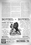 Old Antique Print 1895 Advertisement Bovril Diamonds Spink Dulcemona Tea 19th