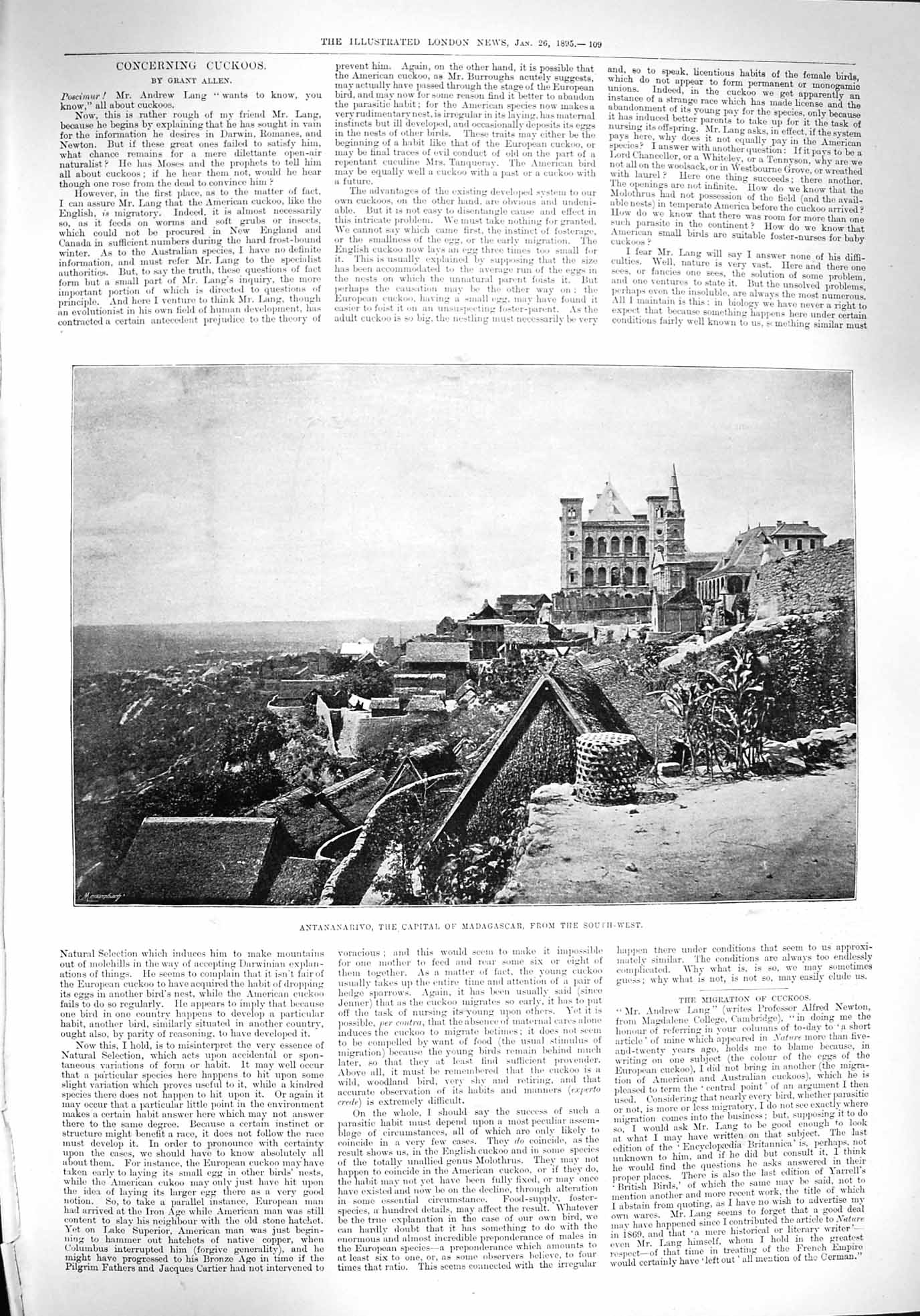 Original Old Antique Print 1894 Antananarivo Madagascar Hospital Chemulpo War