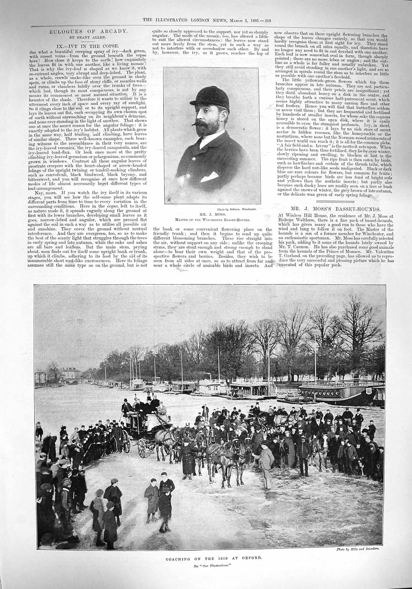 Original Old Antique Print 1895 Master Moss Basset Horse Coaching Isis Oxford