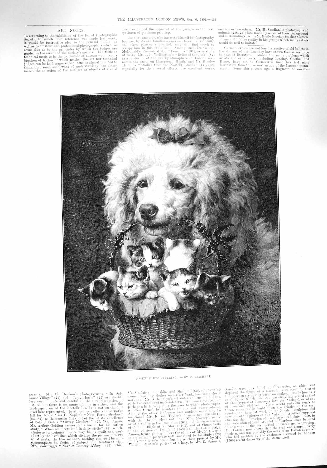 Old Antique Print 1894 Friendship'S Offering Dog Kittens Basket Animals 19th