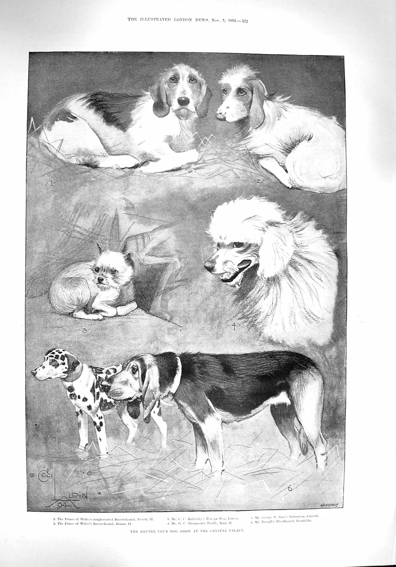 Old Antique Print 1894 Kennel Club Dog Show Crystal Palace Prince Wales 19th